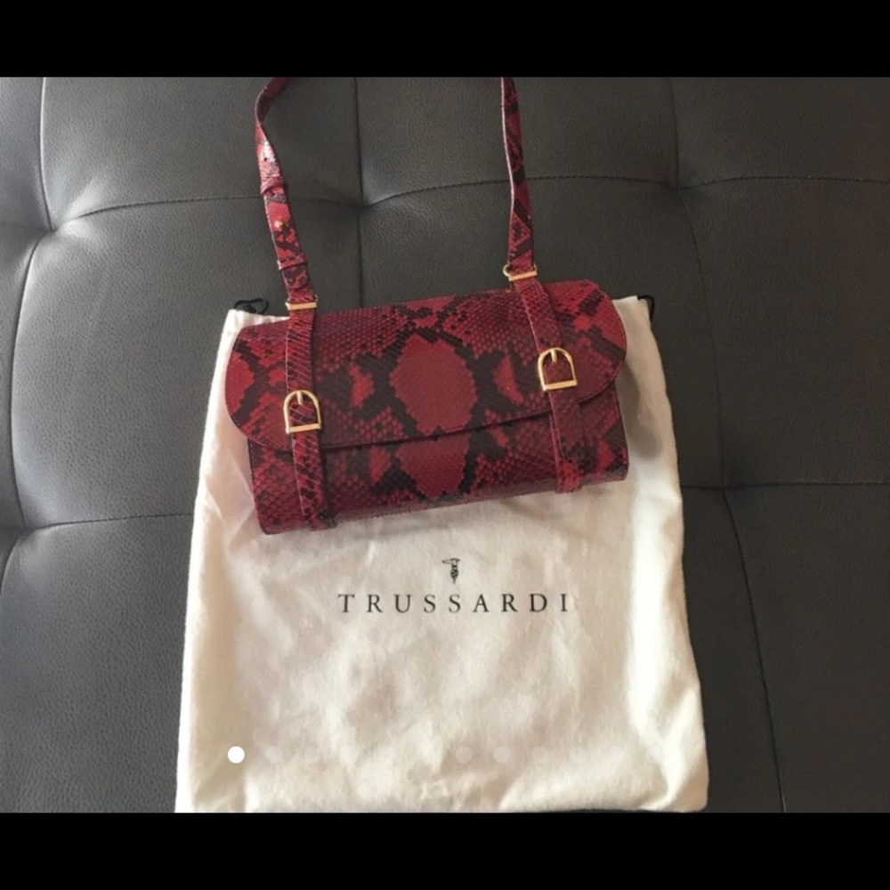 Trussardi reptile skin bag.